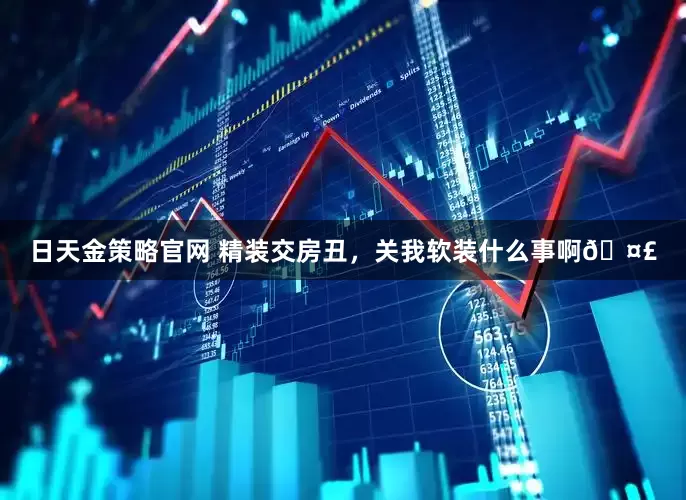 日天金策略官网 精装交房丑，关我软装什么事啊🤣